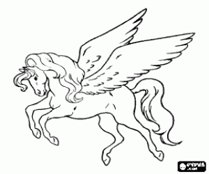 Раскраска крапивы Раскраска крапивы